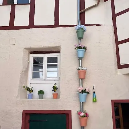 Old Cityhall In On The Moselle 브리에델